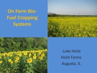 On Farm Bio-
Fuel Cropping
  Systems



                 Luke Holst
                Holst Farms
                Augusta, IL
 