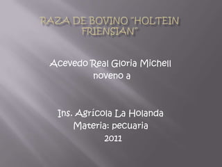 Raza de bovino “Holtein friensian” Acevedo Real Gloria Michell noveno a  Ins. Agrícola La Holanda Materia: pecuaria 2011 