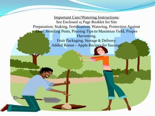 Important Care/Watering Instructions:
              See Enclosed 15 Page Booklet for Site
Preparation, Staking, Fertilization, Watering, Protection Against
 Deer, Avoiding Pests, Pruning Tips to Maximize Yield, Proper
                           Harvesting,
              Fruit Packaging, Storage & Delivery.
           Added Bonus – Apple Recipes for Success!
 