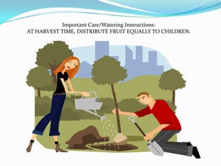 Important Care/Watering Instructions:
AT HARVEST TIME, DISTRIBUTE FRUIT EQUALLY TO CHILDREN.
 