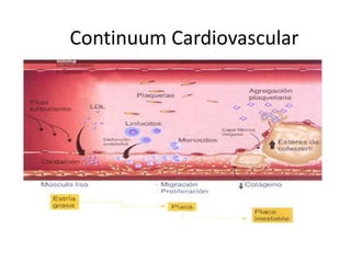 Continuum Cardiovascular
 