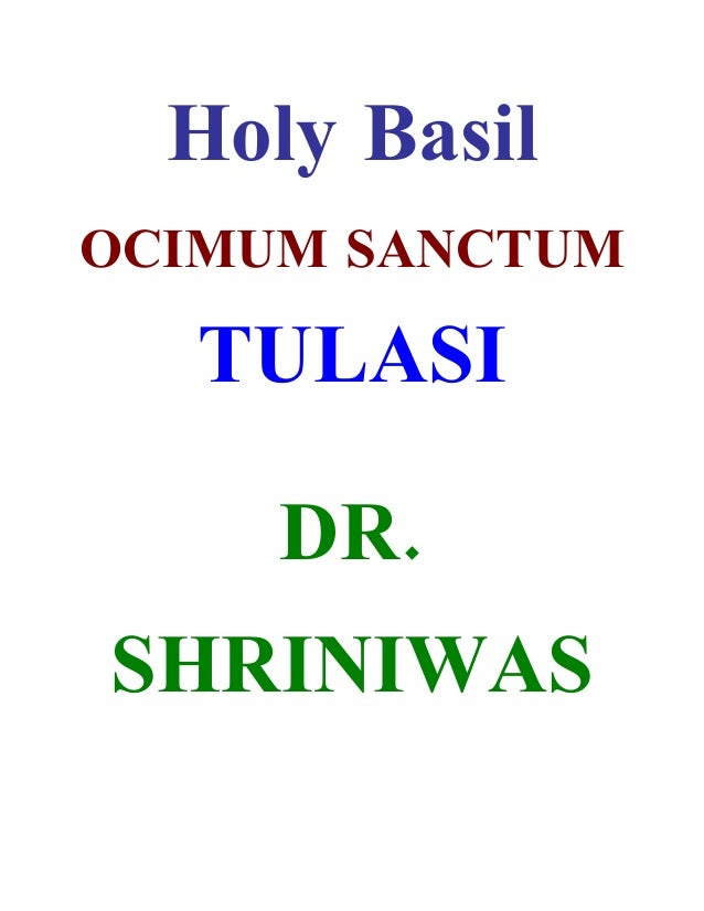 Holy Basil
OCIMUM SANCTUM
TULASI
.
DR
SHRINIWAS
 