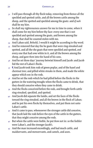 72 Genesis 30
I will pass through all thy flock today, removing from thence all the
speckled and spotted cattle, and all the brown cattle among the
sheep, and the spotted and speckled among the goats: and of such
shall be my hire.
So shall my righteousness answer for me in time to come, when it
shall come for my hire before thy face: every one that is not
speckled and spotted among the goats, and brown among the
sheep, that shall be counted stolen with me.
And Laban said, Behold, I would it might be according to thy word.
And he removed that day the he goats that were ring-streaked and
spotted, and all the she goats that were speckled and spotted, and
every one that had some white in it, and all the brown among the
sheep, and gave them into the hand of his sons.
And he set three days’ journey betwixt himself and Jacob: and Jacob
fed the rest of Laban’s flocks.
¶ And Jacob took him rods of green poplar, and of the hazel and
chestnut tree; and pilled white streaks in them, and made the white
appear which was in the rods.
And he set the rods which he had pilled before the flocks in the
gutters in the watering troughs when the flocks came to drink, that
they should conceive when they came to drink.
And the flocks conceived before the rods, and brought forth cattle
ring-streaked, speckled, and spotted.
And Jacob did separate the lambs, and set the faces of the flocks
toward the ring-streaked, and all the brown in the flock of Laban;
and he put his own flocks by themselves, and put them not unto
Laban’s cattle.
And it came to pass, whensoever the stronger cattle did conceive,
that Jacob laid the rods before the eyes of the cattle in the gutters,
that they might conceive among the rods.
But when the cattle were feeble, he put them not in: so the feebler
were Laban’s, and the stronger Jacob’s.
And the man increased exceedingly, and had much cattle, and
maidservants, and menservants, and camels, and asses.
32
33
34
35
36
37
38
39
40
41
42
43
 