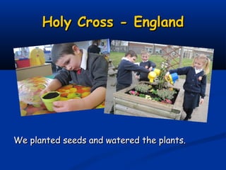 Holy Cross - England




We planted seeds and watered the plants.
 