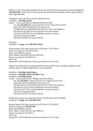 Holynix v2 için vmware'de ağ adaptörü host-only seçildi. Holynix'in ip adresi önceden bilindiği için
(192.168.1.88) vmnet1...