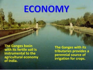 The Ganges basin
with its fertile soil is
instrumental to the
agricultural economy
of India.
The Ganges with its
tributaries provides a
perennial source of
irrigation for crops.
 