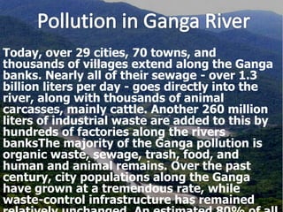 Today, over 29 cities, 70 towns, and
thousands of villages extend along the Ganga
banks. Nearly all of their sewage - over 1.3
billion liters per day - goes directly into the
river, along with thousands of animal
carcasses, mainly cattle. Another 260 million
liters of industrial waste are added to this by
hundreds of factories along the rivers
banksThe majority of the Ganga pollution is
organic waste, sewage, trash, food, and
human and animal remains. Over the past
century, city populations along the Ganga
have grown at a tremendous rate, while
waste-control infrastructure has remained
 