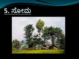 5. ಸ್ೊೀಮ
 