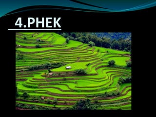 4.PHEK
 