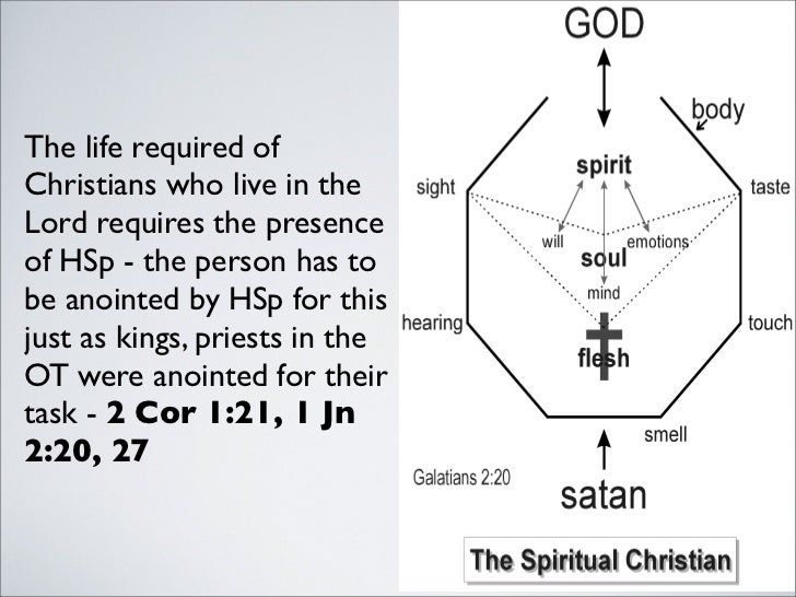 Holy spirit regeneration