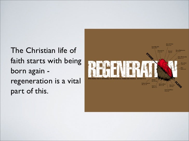 Holy spirit regeneration