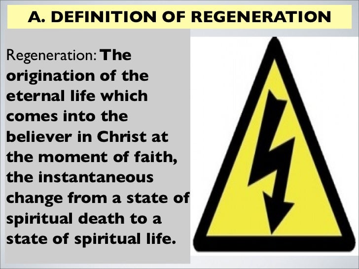 Holy spirit regeneration