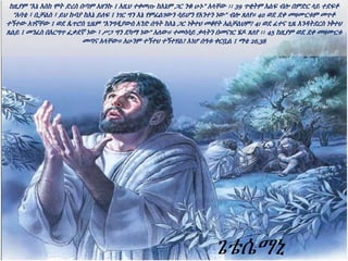 ከዚያም “እኔ እስከ ሞት ድረስ በጣም አዘንኩ ፤ እዚህ ተቀመጡ ከእኔም ጋር ንቁ ሁኑ” አላቸው ፡፡ 39 ጥቂትም እልፍ ብሎ በምድር ላይ ተደፍቶ
“አባቴ ፣ ቢቻልስ ፣ ይህ ኩባያ ከእኔ ይለፍ ፤ ነገር ግን እኔ የምፈልገውን ሳይሆን የአንተን ነው” ብሎ ጸለየ። 40 ወደ ደቀ መዛሙርቱም መጥቶ
ተኝተው አገኛቸው ፤ ወደ ጴጥሮስ ጊዜም “እንግዲያውስ አንድ ሰዓት ከእኔ ጋር ነቅተህ መቆየት አልቻልህም? 41 ወደ ፈተና ጊዜ እንዳትደርስ ነቅተህ
ጸልይ ፤ መንፈስ በእርግጥ ፈቃደኛ ነው ፣ ሥጋ ግን ደካማ ነው” አለው። ተመሳሳይ ቃላትን በመናገር ሄዶ ጸለየ ፡፡ 45 ከዚያም ወደ ደቀ መዛሙርቱ
መጣና አላቸው። አሁንም ተኝተህ ተኝተሃል? እነሆ ሰዓቱ ቀርቧል ፤ ማቴ 26,38
ጌቴሴማኒ
 