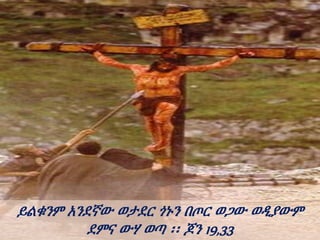 ይልቁንም አንደኛው ወታደር ጎኑን በጦር ወጋው ወዲያውም
ደምና ውሃ ወጣ ፡፡ ጆን 19,33
 