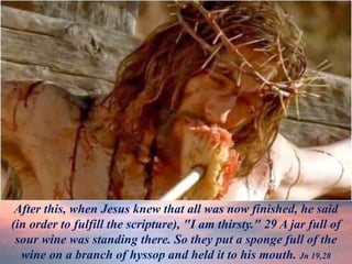 After this, when Jesus knew that all was now finished, he said
(in order to fulfill the scripture), "I am thirsty." 29 A jar full of
sour wine was standing there. So they put a sponge full of the
wine on a branch of hyssop and held it to his mouth. Jn 19,28
 