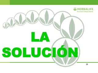 26
LA
SOLUCIÓN
 