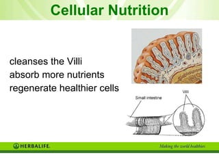 Cellular Nutrition cleanses the Villi absorb more nutrients regenerate healthier cells 