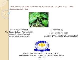 EVALUATION OF PRELIMINARY PHYTOCHEMICAL and INVITRO ANTIOXIDANT ACTIVITY OF
Homalomena aromatica (tuber)
Madhusmita Kumari
Under the guidance of
Mr. Ramen Kalita,M Pharm,(Guide)
Assistant Professor ,Faculty of
Pharmaceutical Science,ADTU
FACULTY OF PHARMACEUTICAL SCIENCES
ASSAM DOWN TOWN UNIVERSITY ,GUWAHATI-781026
ASSAM
Submitted by
Mpharm 2nd semester(pharmaceutics)
 