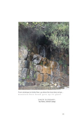 19
From raindrops to trickle flow: up where the trout dare not go ..
m o u n t a i n - b o r n b r o o k g a v e u p i t s g h o s t
C H E C K G L O S S A R Y :
ley lines, convict camp
 