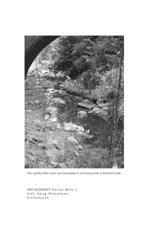 SEE GLOSSARY: S e v e n M i l e ’ s
h i l l , S n u g D u n a l i e n s ,
C o r i n n i a n s
Our grotty little heart up Cascades in company with a buried brook.
 