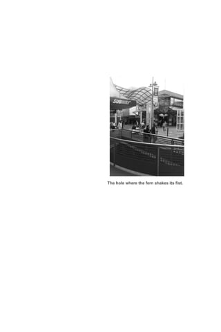 The hole where the fern shakes its fist.
 