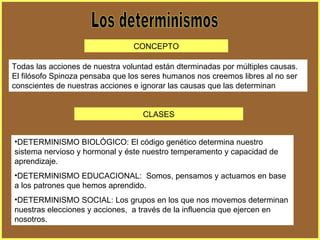Los determinismos Todas las acciones de nuestra voluntad están dterminadas por múltiples causas.  El filósofo Spinoza pensaba que los seres humanos nos creemos libres al no ser conscientes de nuestras acciones e ignorar las causas que las determinan CONCEPTO DETERMINISMO BIOLÓGICO: El código genético determina nuestro sistema nervioso y hormonal y éste nuestro temperamento y capacidad de aprendizaje. DETERMINISMO EDUCACIONAL:  Somos, pensamos y actuamos en base a los patrones que hemos aprendido. DETERMINISMO SOCIAL: Los grupos en los que nos movemos determinan nuestras elecciones y acciones,  a través de la influencia que ejercen en nosotros. CLASES 