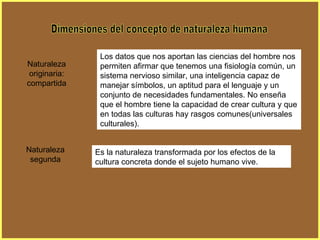 Dimensiones del concepto de naturaleza humana Los datos que nos aportan las ciencias del hombre nos permiten afirmar que tenemos una fisiología común, un sistema nervioso similar, una inteligencia capaz de manejar símbolos, un aptitud para el lenguaje y un conjunto de necesidades fundamentales. No enseña que el hombre tiene la capacidad de crear cultura y que en todas las culturas hay rasgos comunes(universales culturales). Naturaleza originaria: compartida Es la naturaleza transformada por los efectos de la cultura concreta donde el sujeto humano vive. Naturaleza segunda 