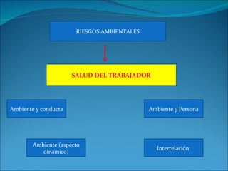RIESGOS AMBIENTALES SALUD DEL TRABAJADOR Ambiente y conducta Ambiente (aspecto dinámico) Interrelación  Ambiente y Persona 