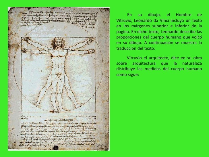 El Hombre De Vitruvio Para Niños
