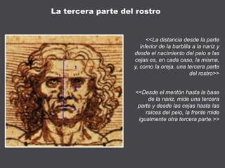 <<La distancia desde la parte
inferior de la barbilla a la nariz y
desde el nacimiento del pelo a las
cejas es, en cada caso, la misma,
y, como la oreja, una tercera parte
del rostro>>
<<Desde el mentón hasta la base
de la nariz, mide una tercera
parte y desde las cejas hasta las
raíces del pelo, la frente mide
igualmente otra tercera parte.>>
La tercera parte del rostro
 