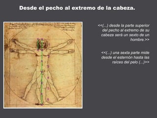 <<(...) desde la parte superior
del pecho al extremo de su
cabeza será un sexto de un
hombre.>>
<<(...) una sexta parte mide
desde el esternón hasta las
raíces del pelo (...)>>
Desde el pecho al extremo de la cabeza.
 