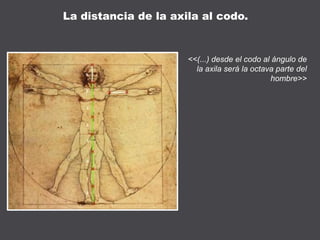 <<(...) desde el codo al ángulo de
la axila será la octava parte del
hombre>>
La distancia de la axila al codo.
 