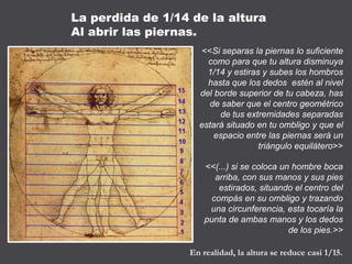 <<Si separas la piernas lo suficiente
como para que tu altura disminuya
1/14 y estiras y subes los hombros
hasta que los dedos estén al nivel
del borde superior de tu cabeza, has
de saber que el centro geométrico
de tus extremidades separadas
estará situado en tu ombligo y que el
espacio entre las piernas será un
triángulo equilátero>>
<<(...) si se coloca un hombre boca
arriba, con sus manos y sus pies
estirados, situando el centro del
compás en su ombligo y trazando
una circunferencia, esta tocaría la
punta de ambas manos y los dedos
de los pies.>>
En realidad, la altura se reduce casi 1/15.
La perdida de 1/14 de la altura
Al abrir las piernas.
 