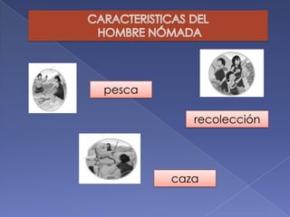 pesca
recolección
caza