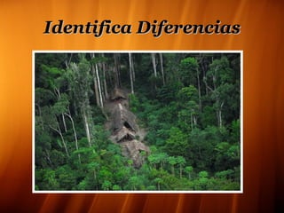 Identifica Diferencias