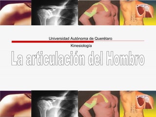 Universidad Autónoma de Querétaro Kinesiología La articulación del Hombro 