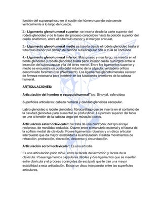 función del supraespinoso en el sostén de húmero cuando este pende
verticalmente a lo largo del cuerpo.
2.- Ligamento glenohumeral superior: se inserta desde la parte superior del
rodete glenoideo y de la base del proceso coracoides hasta la porción superior del
cuello anatómico, entre el tubérculo menor y el margen articular.
3.- Ligamento glenohumeral medio se inserta desde el rodete glenoideo hasta el
tubérculo menor por debajo del tendón subescapular con el cual se confunde.
4.- Ligamento glenohumeral inferior: Más grueso y mas largo, se inserta en el
borde glenoideo y rodete glenoideo hasta parte inferior cuello quirúrgico entre la
inserción del subescapular y la del teres menor. Entre los ligamentos superior y
medio se encuentra un punto débil máximo de la cápsula, verdadero orificio
denominado foramen oval (Weitbrecht). Los ligamentos glenohumerales carecen
de firmeza necesaria para interferir en las luxaciones anteriores de la cabeza
humeral.
ARTICULACIONES:
Articulación del hombro o escapulohumeralTipo: Sinovial, esferoídea
Superficies articulares: cabeza humeral y cavidad glenoidea escapular.
Labro glenoideo o rodete glenoideo: fibrocartílago que se inserta en el contorno de
la cavidad glenoidea para aumentar su profundidar. La porción superior del labio
se une al tendón de la cabeza larga del músculo bíceps.
Articulación esternoclavicular: Se trata de una diartrodia, del tipo encaje
recíproco, de movilidad reducida. Ocurre entre el manubrio esternal y el faceta de
la epífisis medial de clavícula. Posee ligamentos robustos y un disco articular
interpuesto que da mayor estabilidad a la articulación. Realiza movimientos de
retracción, protracción, elevación, descenso y circunducción.
Articulación acromioclavicular: Es una artrodia.
Es una articulación poco móvil, entre la faceta del acromion y faceta de la
clavícula. Posee ligamentos capsulares débiles y dos ligamentos que se insertan
entre clavícula y el proceso coracoides de escápula que le dan una mayor
estabilidad a esta articulación. Existe un disco interpuesto entre las superficies
articulares.
 