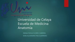 Universidad de Celaya
Escuela de Medicina
Anatomía
DIANA PAOLA FLORES CABRERA
IVÁN ALEJANDRO PAZ GUERRERO
 
