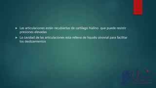  Las articulaciones están recubiertas de cartílago hialino que puede resistir
presiones elevadas
 La cavidad de las articulaciones esta rellena de liquido sinovial para facilitar
los deslizamientos
 
