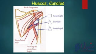 Huecos, Canales
 