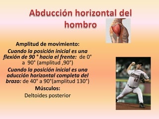 ACC. ACROMIOCLAVICULAREsta es de tipo artrodia .Compuesta por el acromion que posee una carilla articular plana y ligeramente convexa en su borde antero interior,  orientada hacia delante, hacia dentro y hacia arriba; y por la clavícula que en su borde inferior posee una carilla articular plana o ligeramente convexa que  mira hacia abajo, atrás y hacia fuera.Grado de libertad:1Abducción de escapula y aducción 