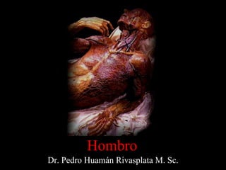 Dr. Pedro Huamán Rivasplata M. Sc. Hombro 