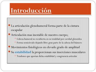 Introducción
Introducción
La articulación glenohumeral forma parte de la cintura
escapular
Articulación mas inestable de nuestro cuerpo;
Cabeza humeral no recubierta en su totalidad por cavidad glenoidea
Forma semicírculo dejando libre gran parte de la cabeza del húmero
Movimientos fisiológicos en elevado grado de amplitud
Su estabilidad la proporcionan sus inserciones musculares
Tendones que aportan dicha estabilidad y congruencia articular
 