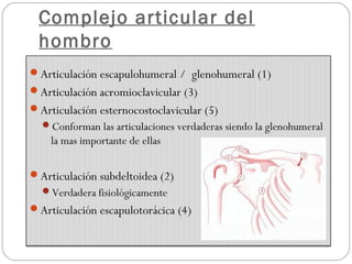 Complejo articular del
hombro
Articulación escapulohumeral / glenohumeral (1)
Articulación acromioclavicular (3)
Articulación esternocostoclavicular (5)
Conforman las articulaciones verdaderas siendo la glenohumeral
la mas importante de ellas
Articulación subdeltoidea (2)
Verdadera fisiológicamente
Articulación escapulotorácica (4)
 
