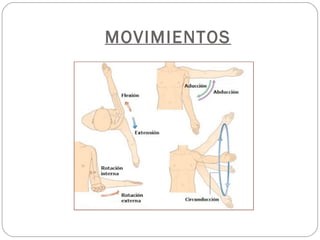 MOVIMIENTOS
 