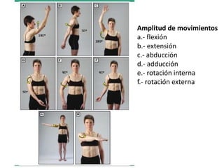 Amplitud de movimientos
a.- flexión
b.- extensión
c.- abducción
d.- adducción
e.- rotación interna
f.- rotación externa
 