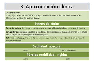3. Aproximación clínica
Generalidades:
Edad, tipo de actividad física, trabajo, traumatismos, enfermedades sistémicas
(Diabetes mellitus, hipertiroidismo)
Patrón del dolor
Cara anterolateral del hombro, que se agrava al elevar el brazo (abd) por encima de la cabeza,
Cara posterior: localizado (raro) en la afectación del infraespinoso o redondo menor. Si es difuso
o en la región del trapecio pensar en cervicopatia.
Dolor mal localizado, difuso, suele ser extrínseco, o referido, sobre todo si la exploración del
hombro es normal
Debilidad muscular
activa Contra resistencia
Pérdida mobilidad - rigidez
Activa pasiva
 