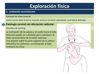 Exploración física
a.- evaluación neurovascular
Patología del plexo braquial
Lesión nervio axilar (trauma, luxación anterior hombro): parestesias cara lateral deltoides
Patología cervical con afectación radicular:
Maniobra de spurling:
La inclinación de la cabeza y el cuello hacia el lado
doloroso puede ser suficiente para reproducir el
dolor característico de la lesión radicular.
Una presión sobre la parte superior de la cabeza
intensifica los síntomas. La inclinación al lado
contrario los alivia
 