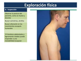 Exploración física
b.- inspección
Observar la postura del
paciente, como se mueve y
desviste
Buscar asimetrias, atrofias
Buscar alteración en los
movimientos escapulo
humerales
 Hombros adelantados y
ligeramente rotados puede
responder a una
inestabilidad escapular
 