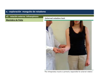 e.- exploración manguito de rotadores
e2.- rotación externa: infraespinoso
Maniobra de Patte
 